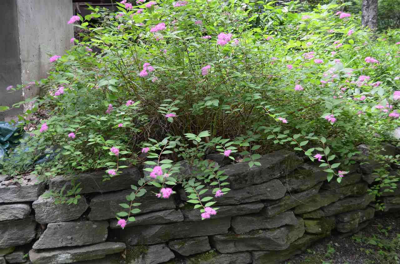 233 Soaring Hawk Road Plymouth, VT 05056 - Photo 33 of 40 Gallery Image 33