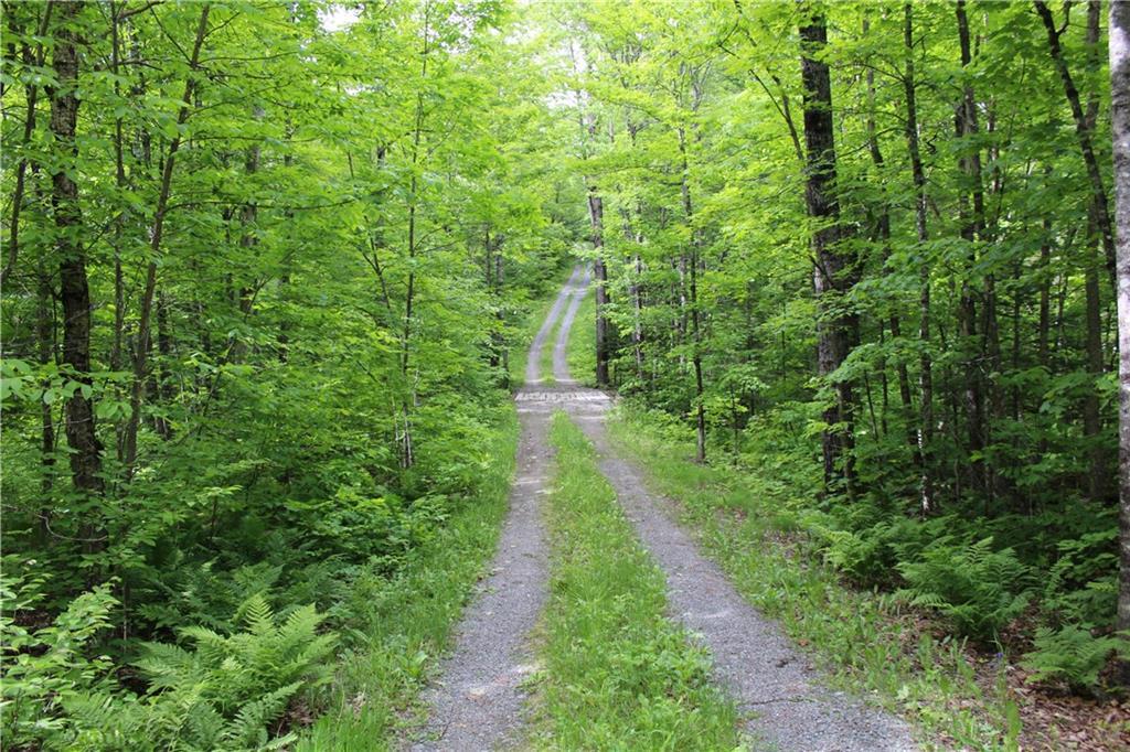 1 York Mill Athens, ME 04912 - Photo 21 of 23 Wonderful road leading to camp. ...