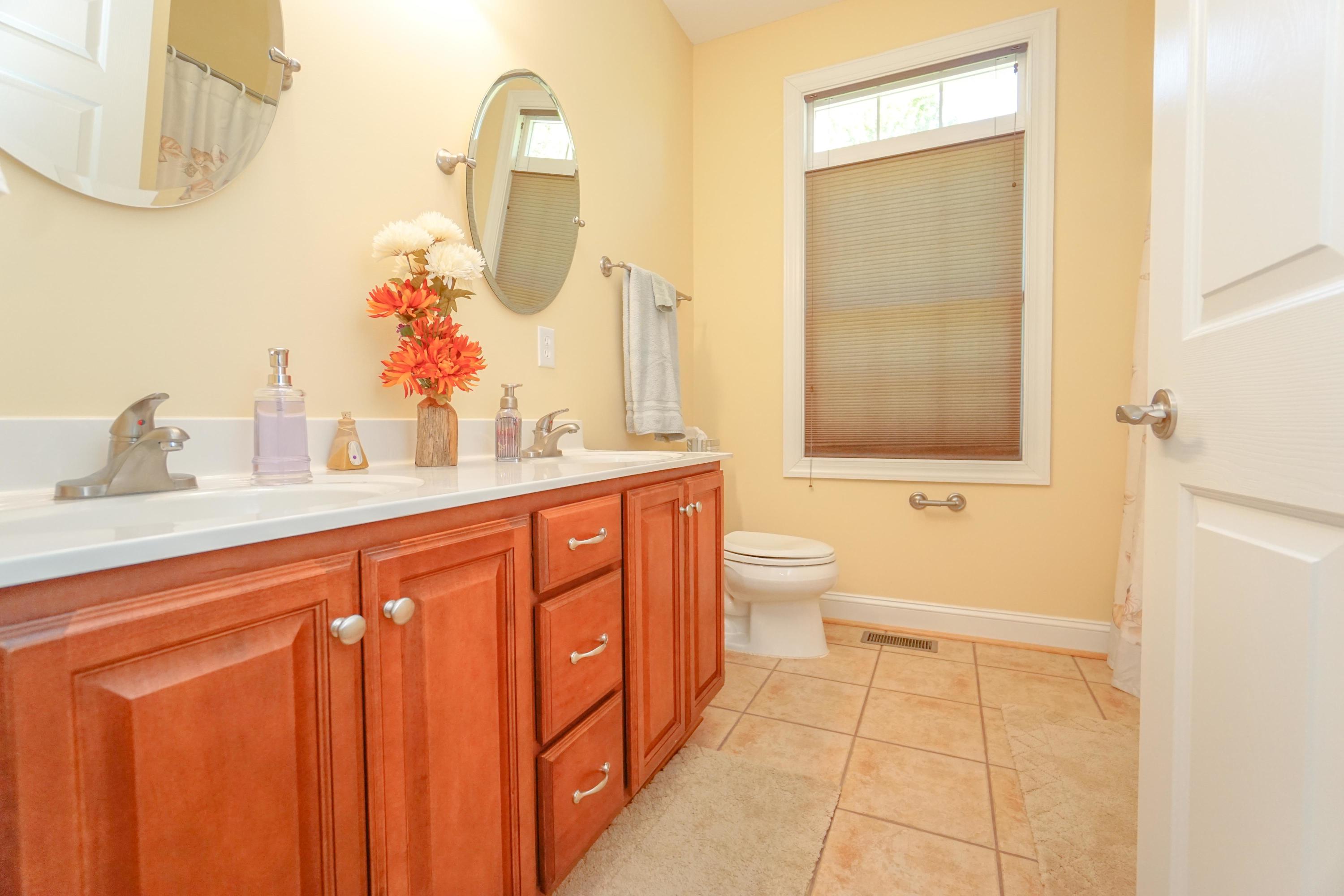 870 Windlass Road Moneta, VA 24121 - Photo 13 of 28 Full Guest Bath