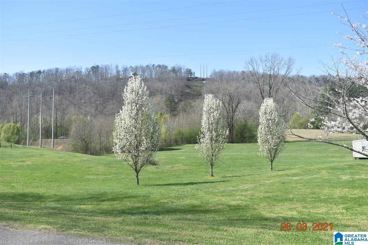 1190 Pearl Lake Road Springville, AL 35146 - Photo 10 of 38