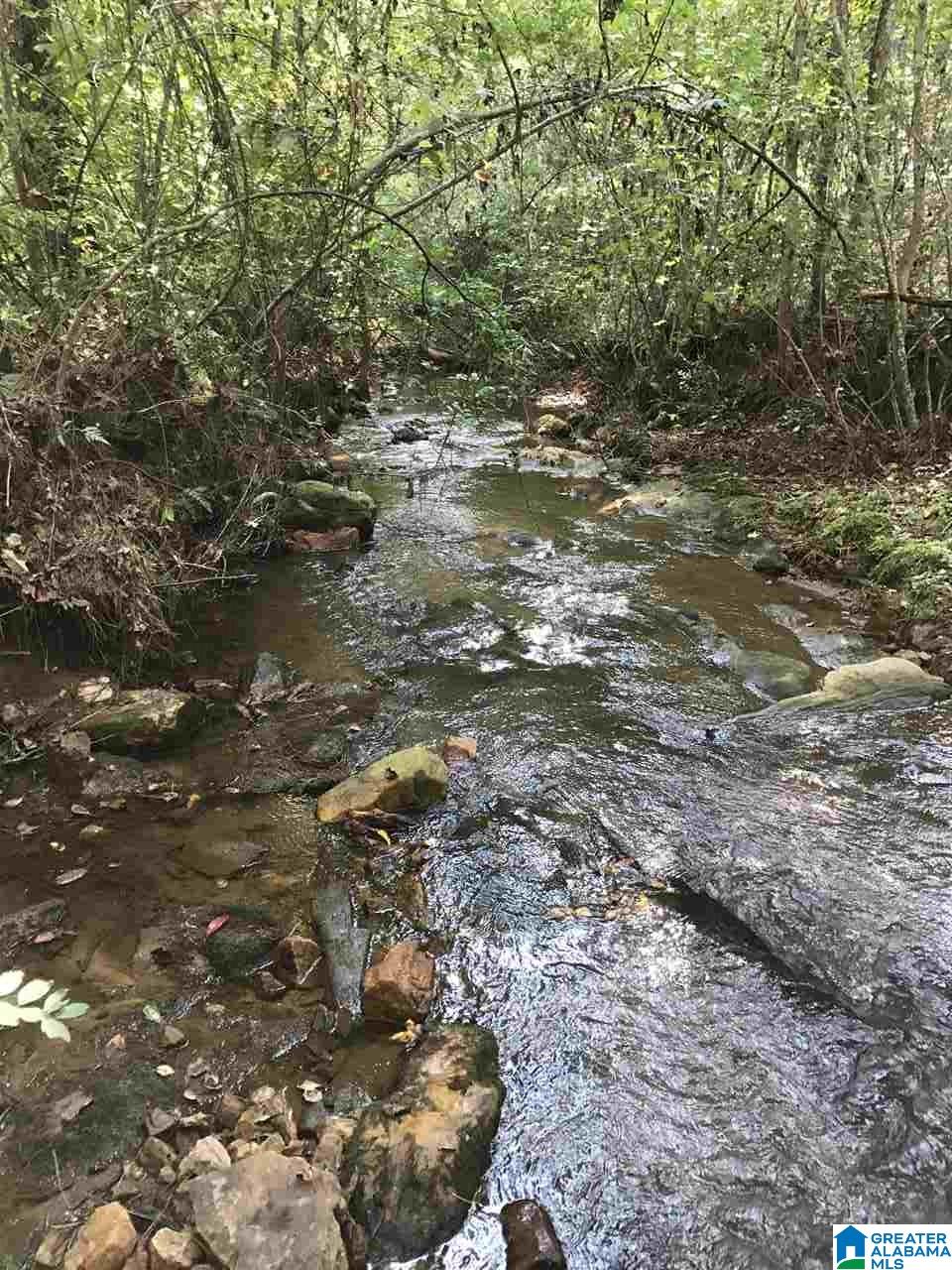 516 County Road Woodland, AL 36280 - Photo 18 of 22