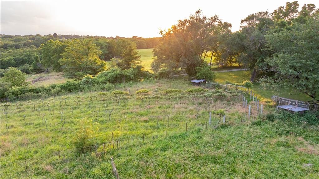 33200 East Hammond Road Lone Jack, MO 64070 - Photo 7 of 76