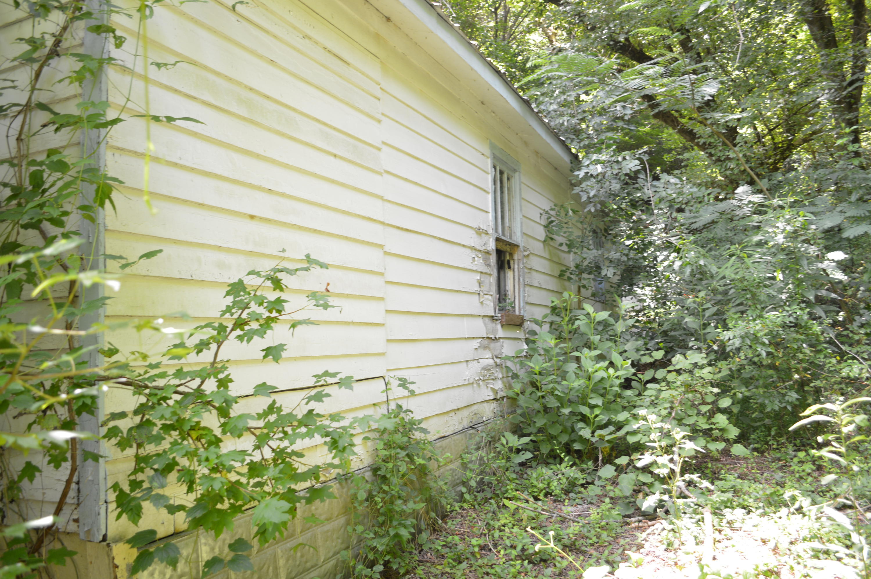 1875 Shiloh Church Road Seymour, TN 37865 - Photo 3 of 6 Pearl Green 2
