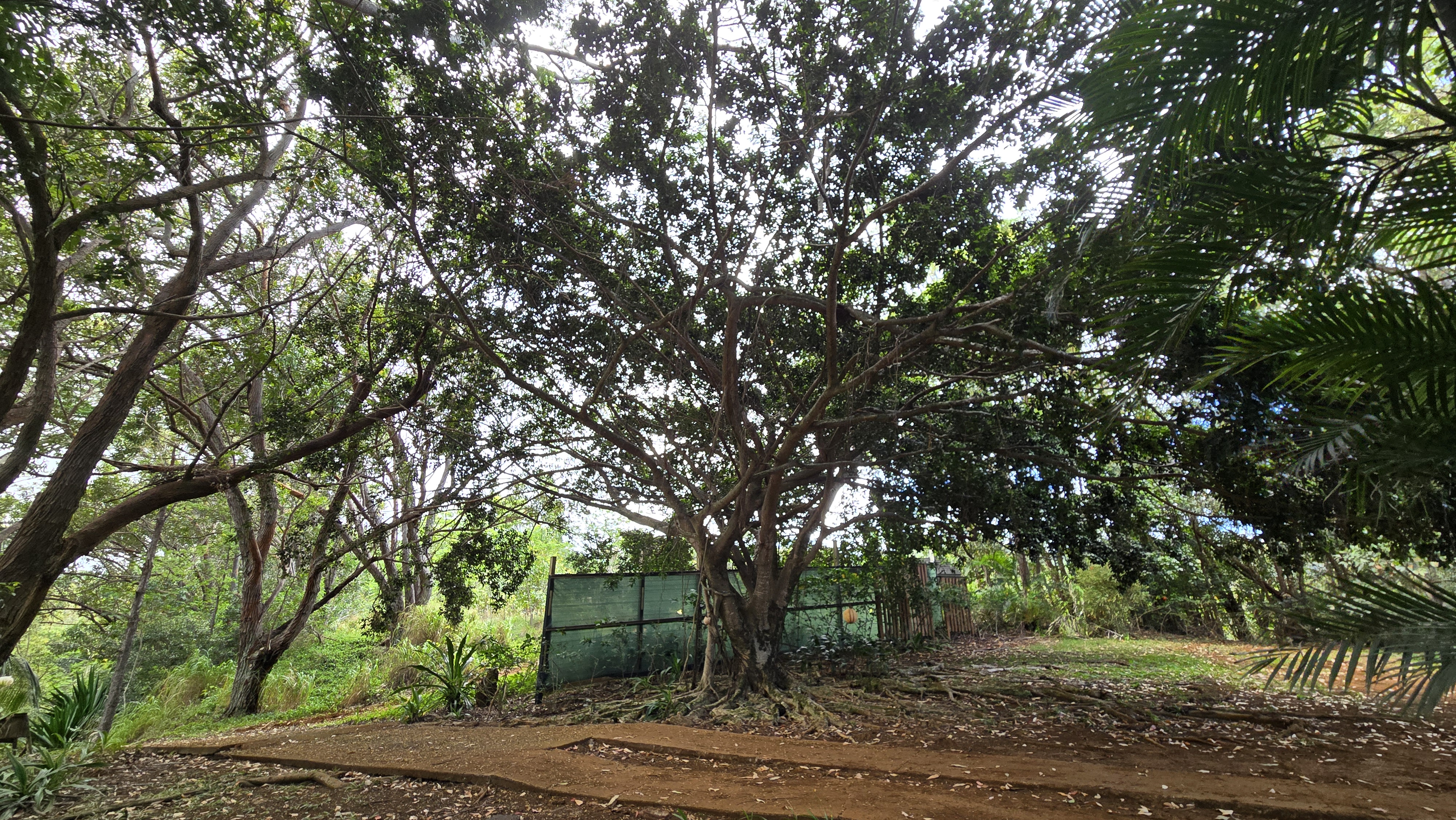 3215 C Wawae Road Kalaheo, HI 96741 - Photo 21 of 27