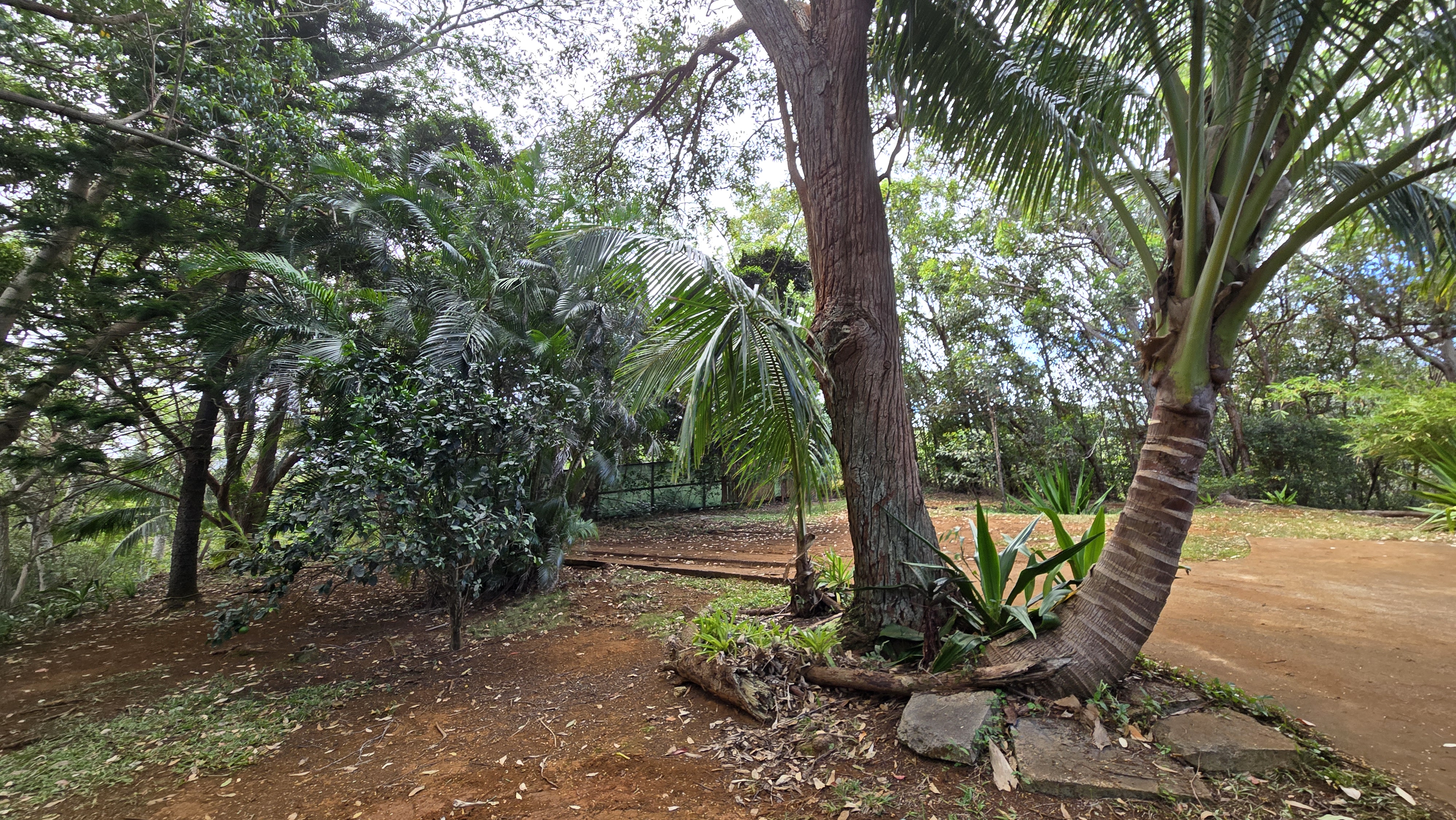3215 C Wawae Road Kalaheo, HI 96741 - Photo 22 of 27