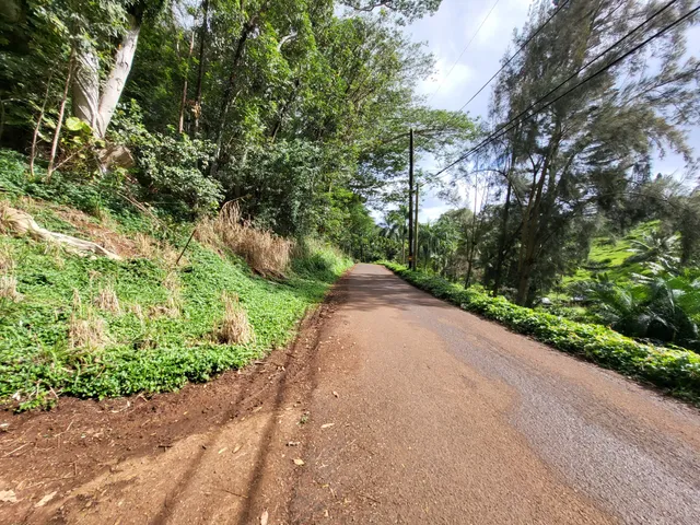 $920,000 | 3215 C Wawae Road, Kalaheo, HI 96741
