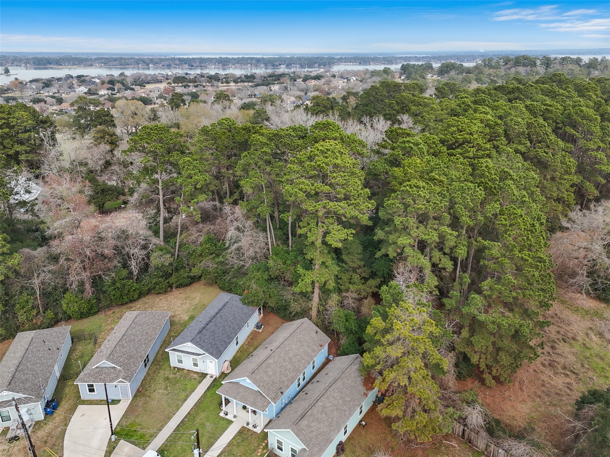 241 Ridgeside Court Montgomery, TX 77316 - Photo 28 of 30 a view of a city with tall buildings