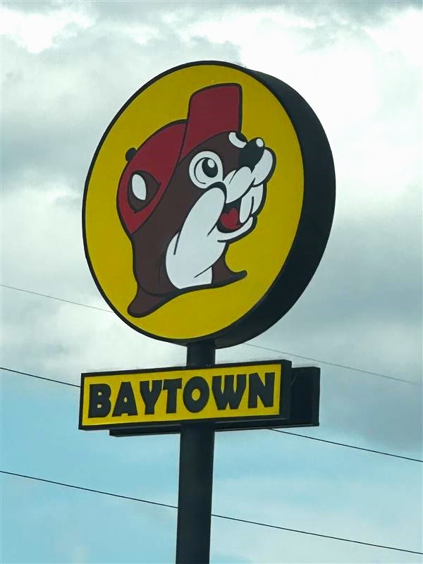 5110 Barbers Hill Road Baytown, TX 77521 - Photo 42 of 50