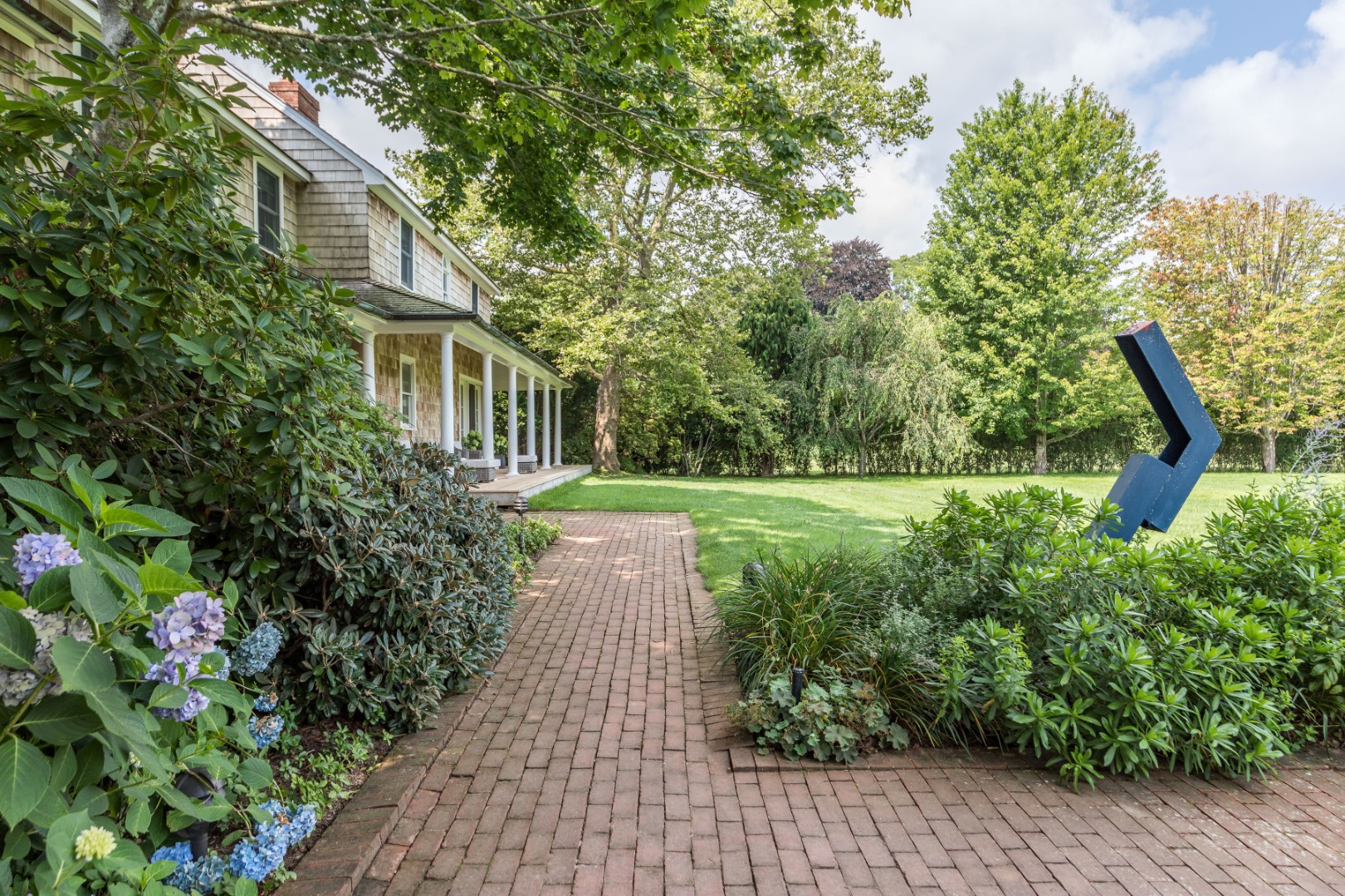 a view of a garden with plants and trees