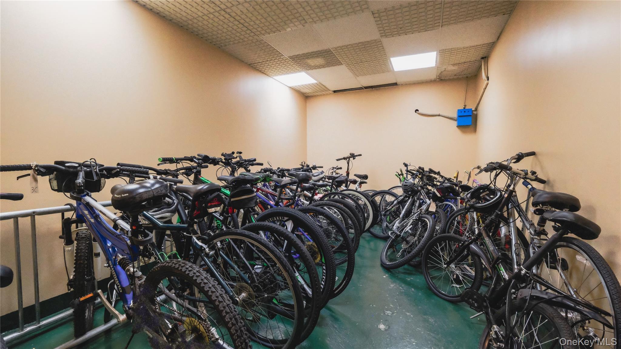 20 Canterbury Road, Unit 1P Great Neck, NY 11021 - Photo 24 of 28 Bike Storage