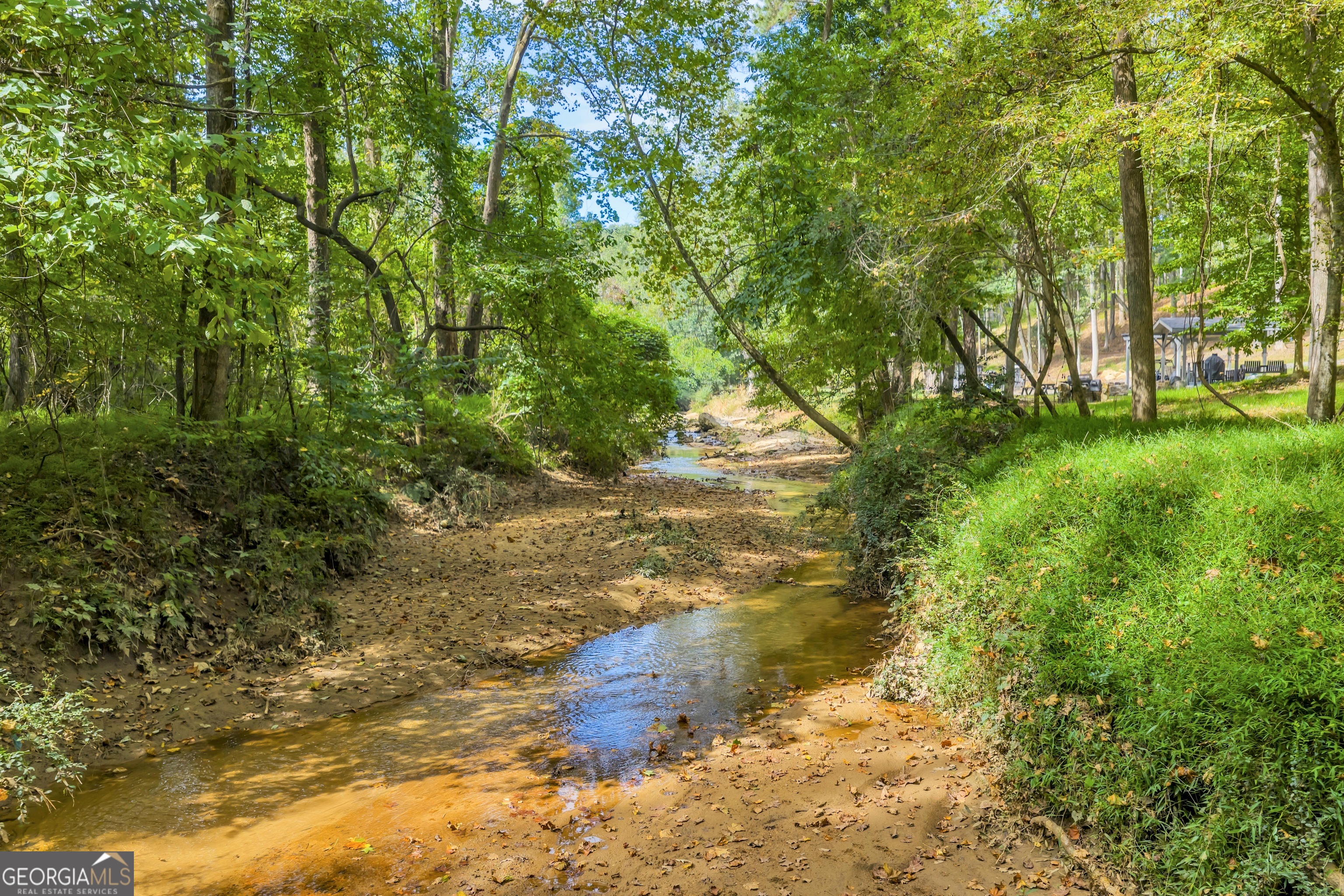 1542 Silver Hill Road Stone Mountain, GA 30087 - Photo 25 of 40 a view of a lake with large trees