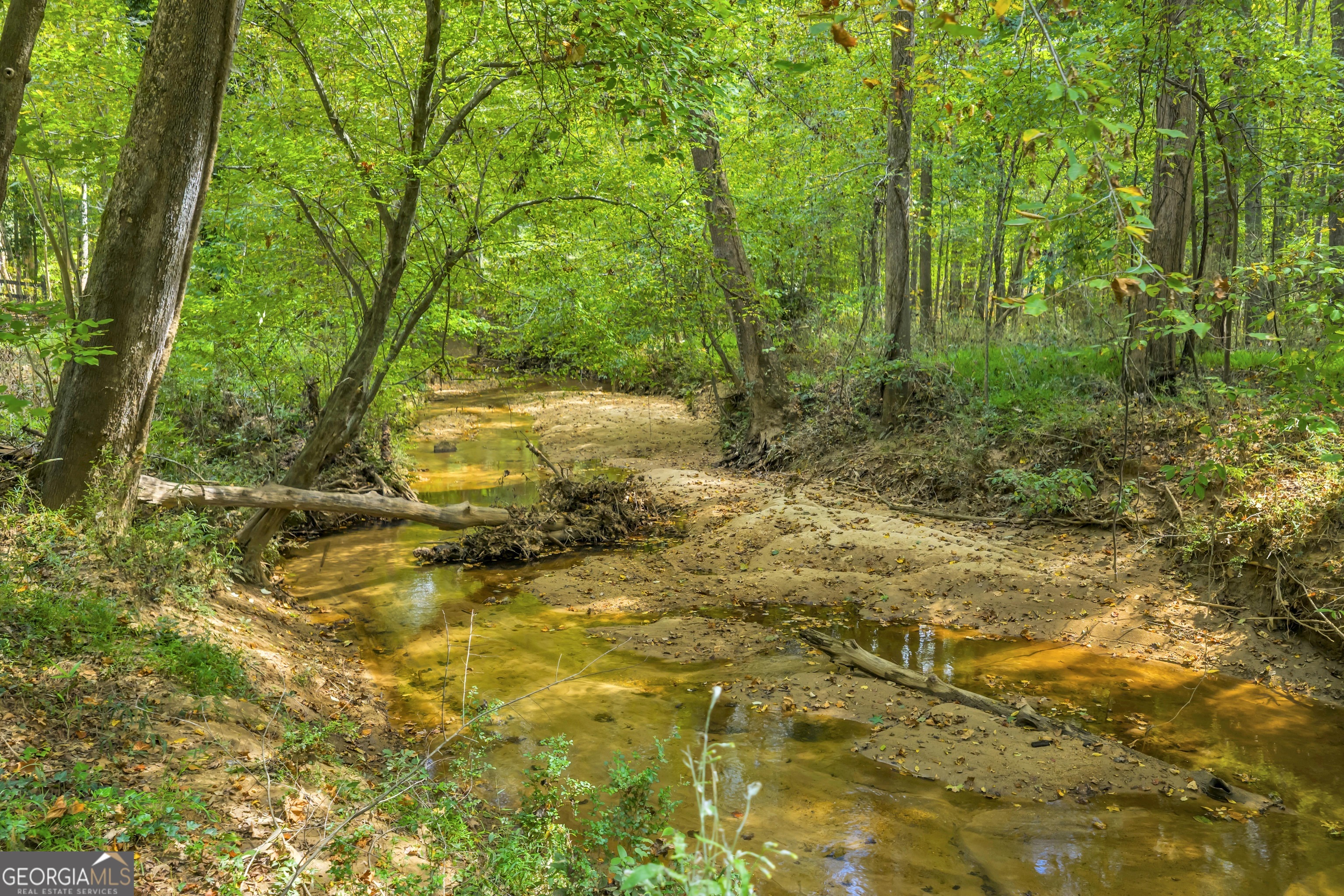 1542 Silver Hill Road Stone Mountain, GA 30087 - Photo 26 of 40 a view of backyard with green space