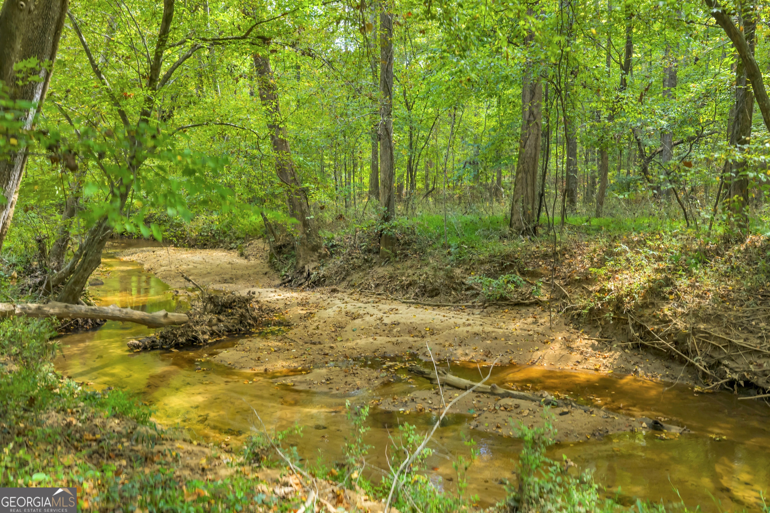 1542 Silver Hill Road Stone Mountain, GA 30087 - Photo 27 of 40 a view of outdoor space and trees