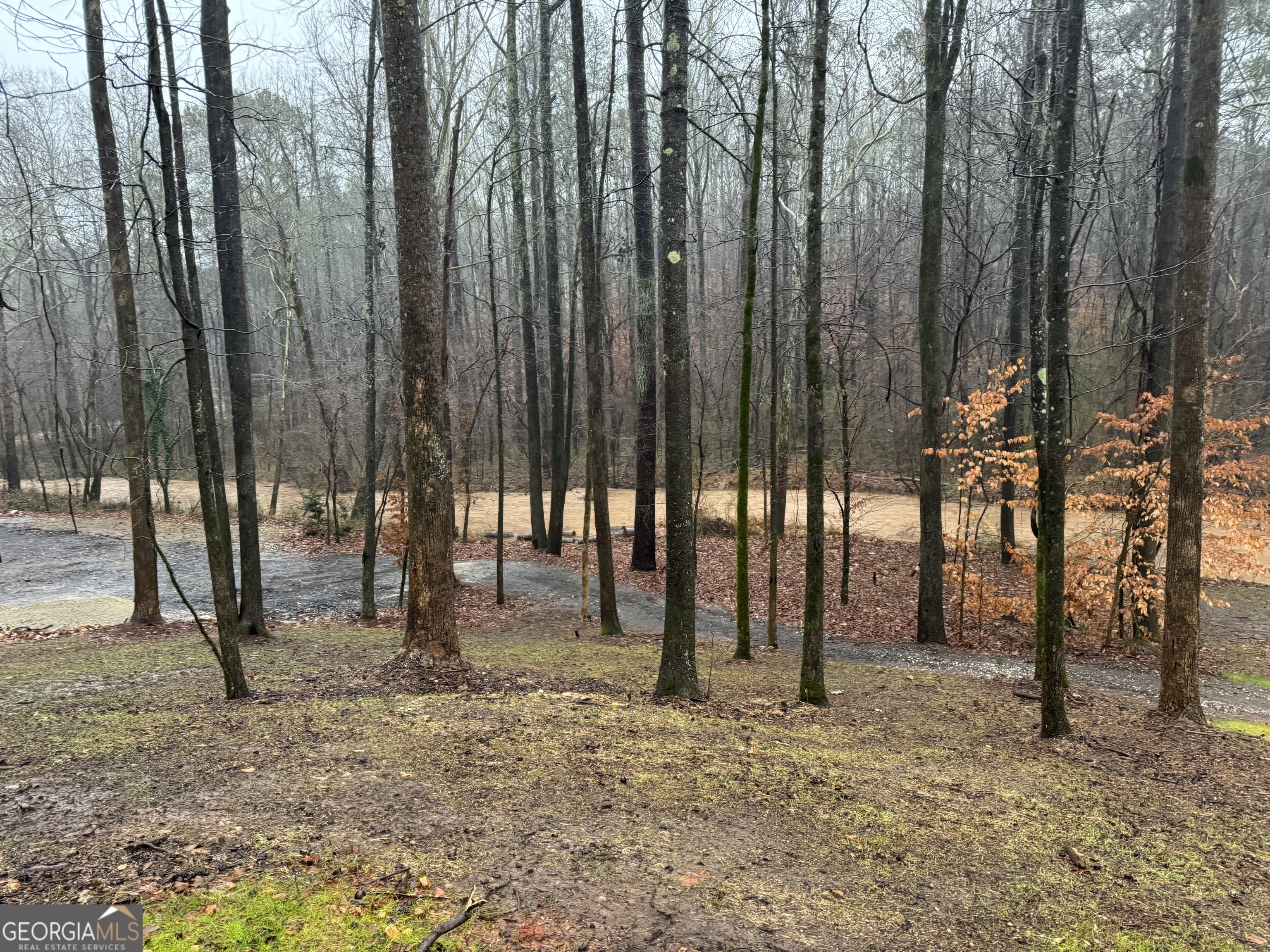 1542 Silver Hill Road Stone Mountain, GA 30087 - Photo 28 of 40 a view of tall trees with trees