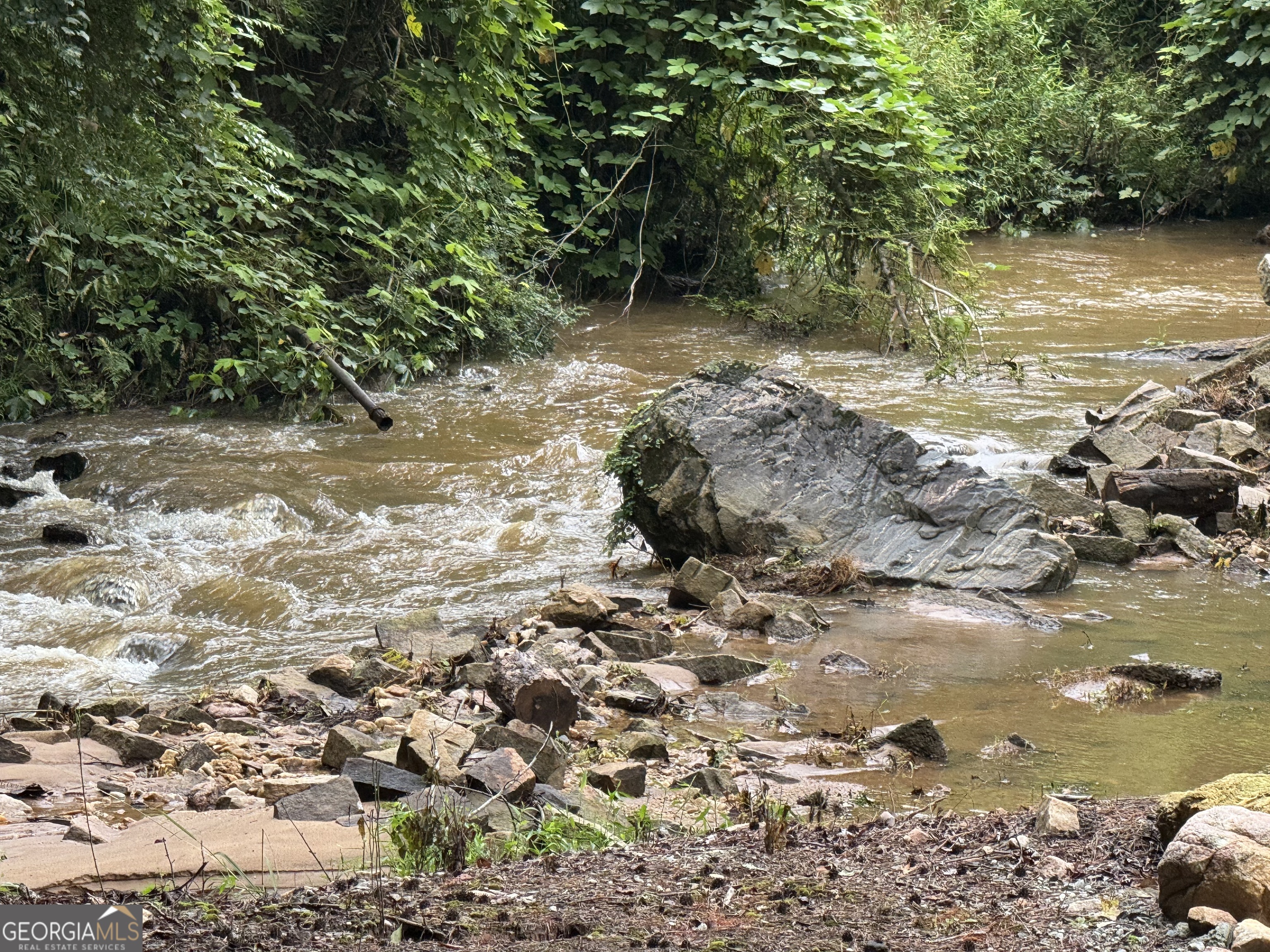 1542 Silver Hill Road Stone Mountain, GA 30087 - Photo 29 of 40 a view of a lake with beach and covered with trees