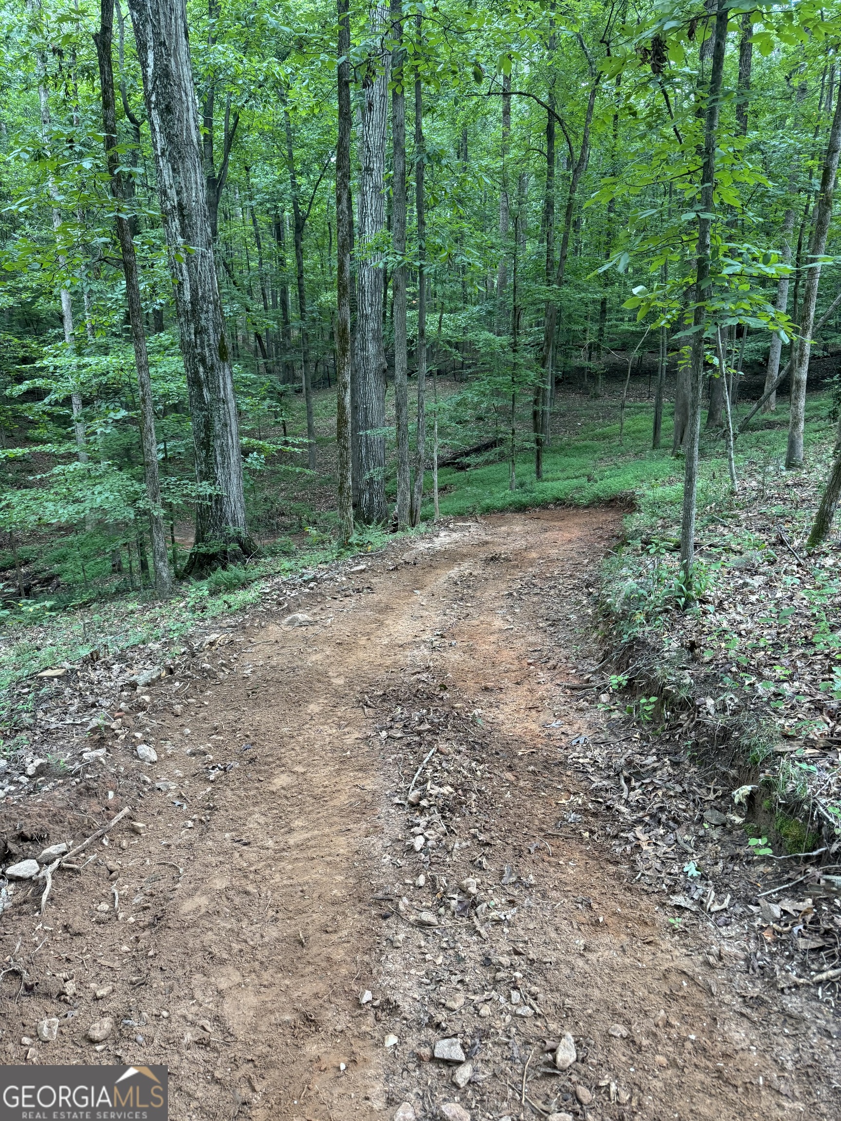 1542 Silver Hill Road Stone Mountain, GA 30087 - Photo 30 of 40 a view of a backyard