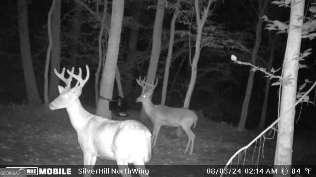 1542 Silver Hill Road Stone Mountain, GA 30087 - Photo 32 of 40 a close view of water heater room
