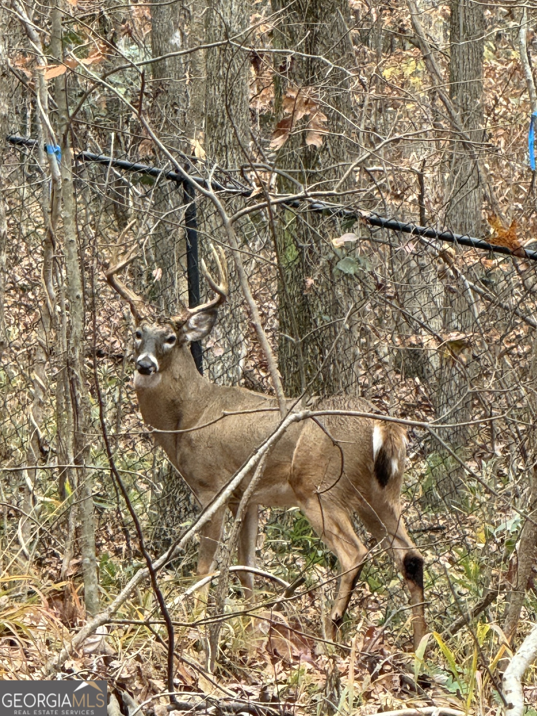 1542 Silver Hill Road Stone Mountain, GA 30087 - Photo 33 of 40 a dirty bathroom with a bathtub and shower