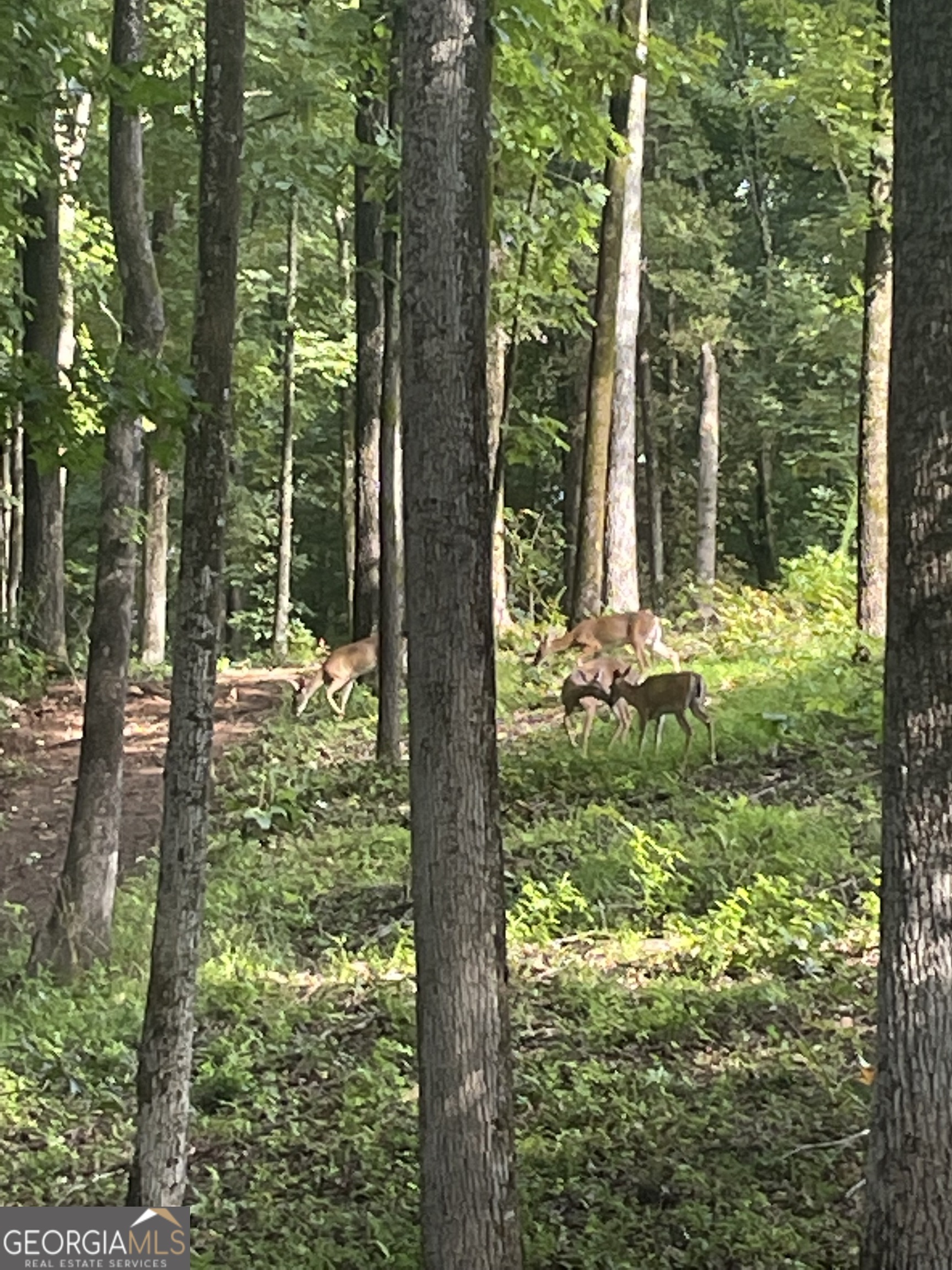 1542 Silver Hill Road Stone Mountain, GA 30087 - Photo 34 of 40 a view of outdoor space and garden