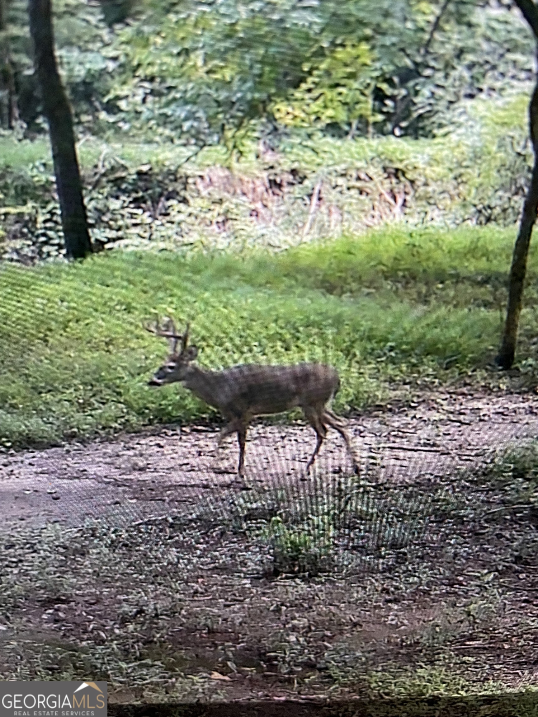 1542 Silver Hill Road Stone Mountain, GA 30087 - Photo 35 of 40 a view of outdoor space and garden