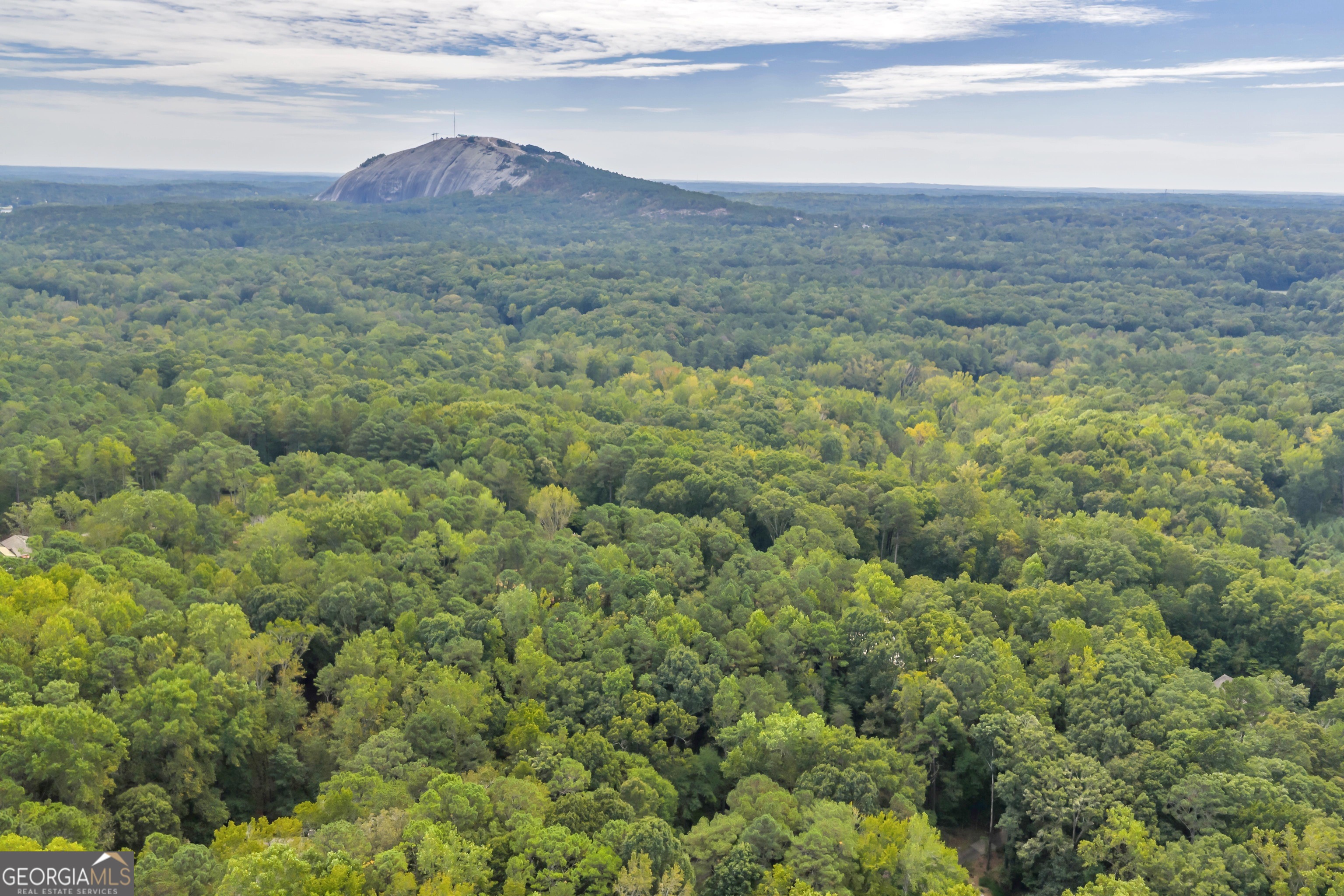 1542 Silver Hill Road Stone Mountain, GA 30087 - Photo 4 of 40 a view of a field with an ocean
