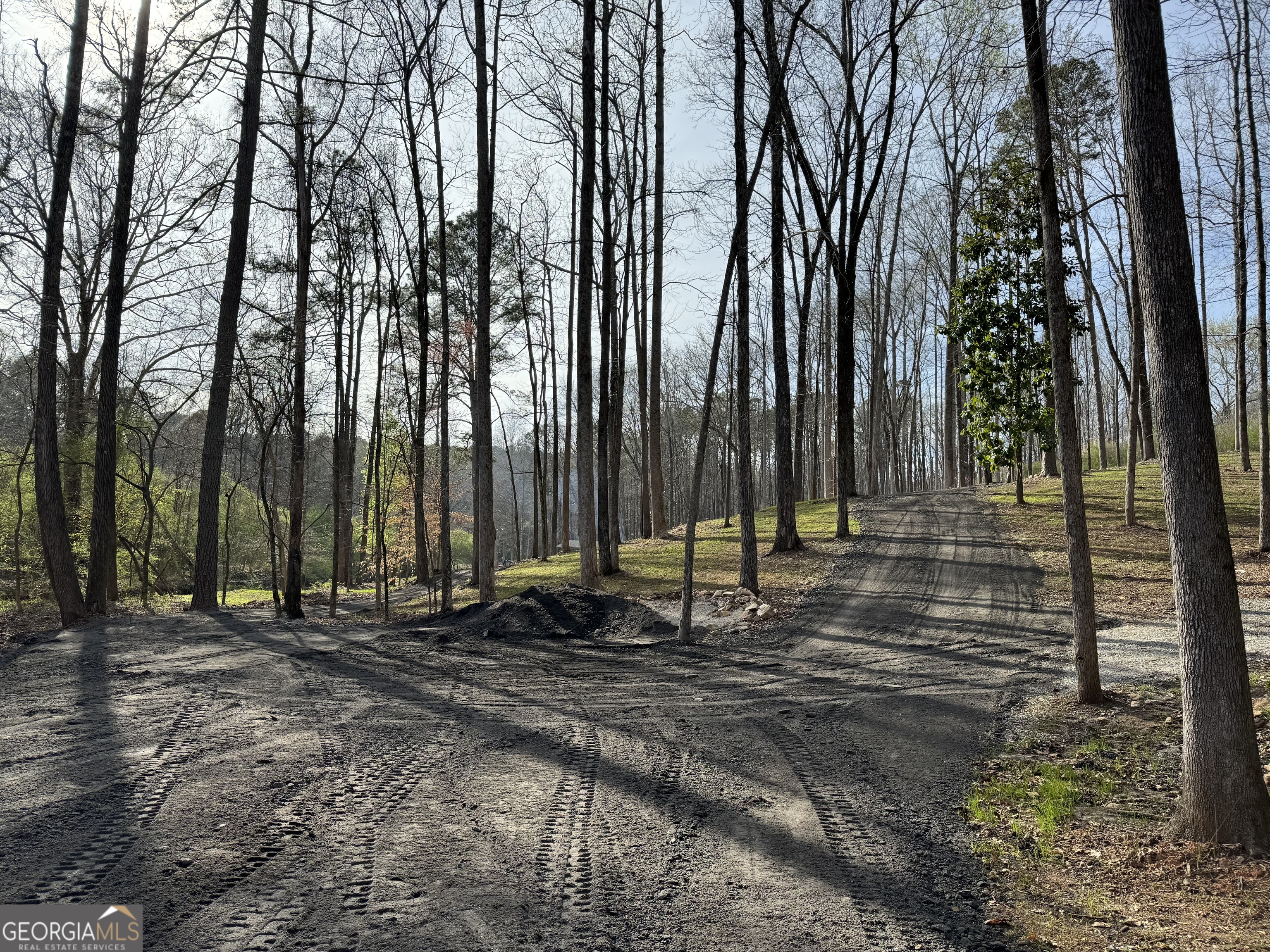 1542 Silver Hill Road Stone Mountain, GA 30087 - Photo 9 of 40 a view of a backyard with trees