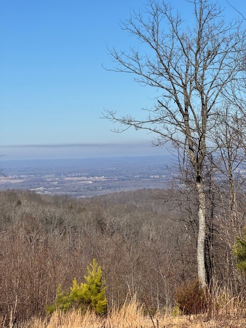 0 Box House Road Belvidere, TN 37306 - Photo 1 of 18 Gallery Image 1