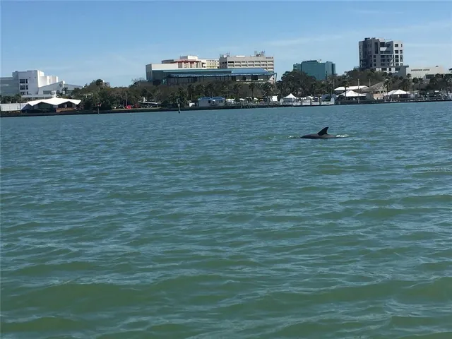 $1,699 | 1400 Tarpon Woods Boulevard, Unit C5, Palm Harbor, FL 34685