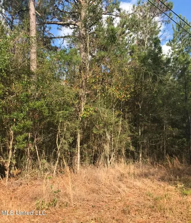 $165,000 | Saucier Fairley Road, Saucier, MS 39574