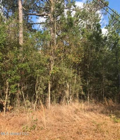 $165,000 | Saucier Fairley Road, Saucier, MS 39574