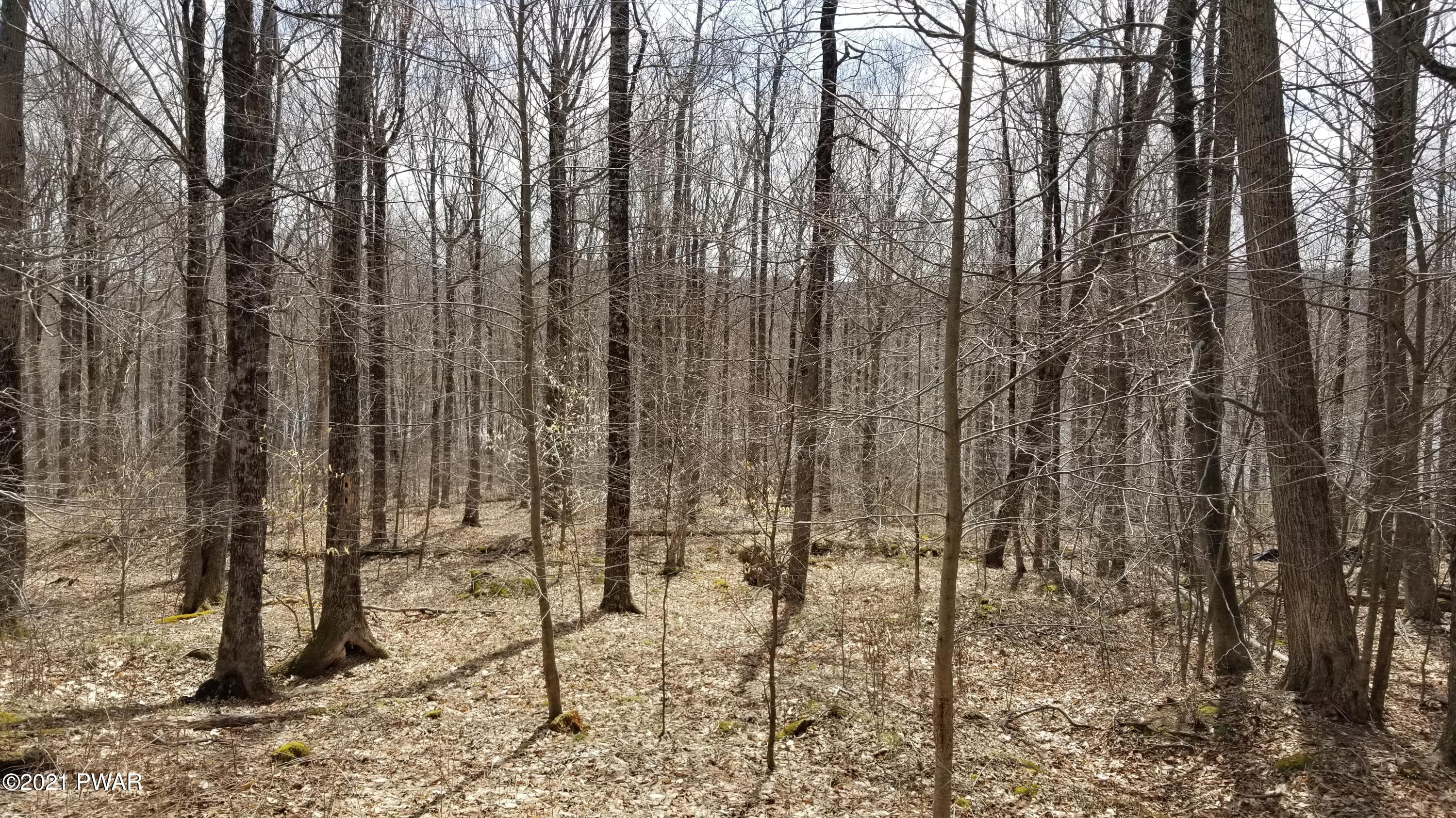 72 Old Woods Road Equinunk, PA 18417 - Photo 1 of 4
