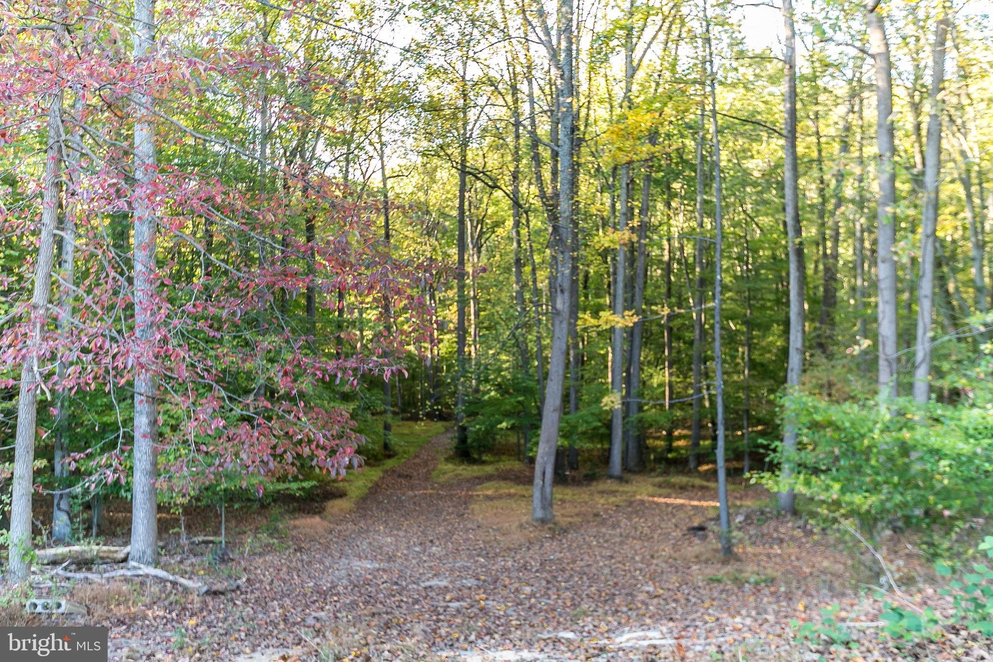 2806 Paper Mill Road Phoenix, MD 21131 - Photo 47 of 50 Exterior rear 2 acres!