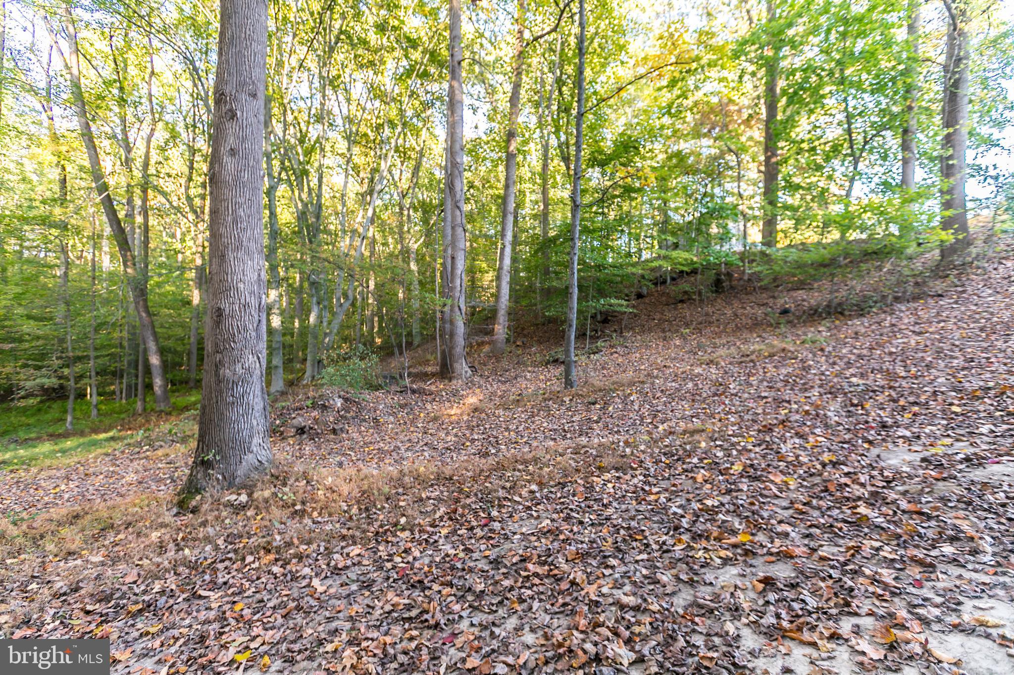 2806 Paper Mill Road Phoenix, MD 21131 - Photo 48 of 50 Exterior rear