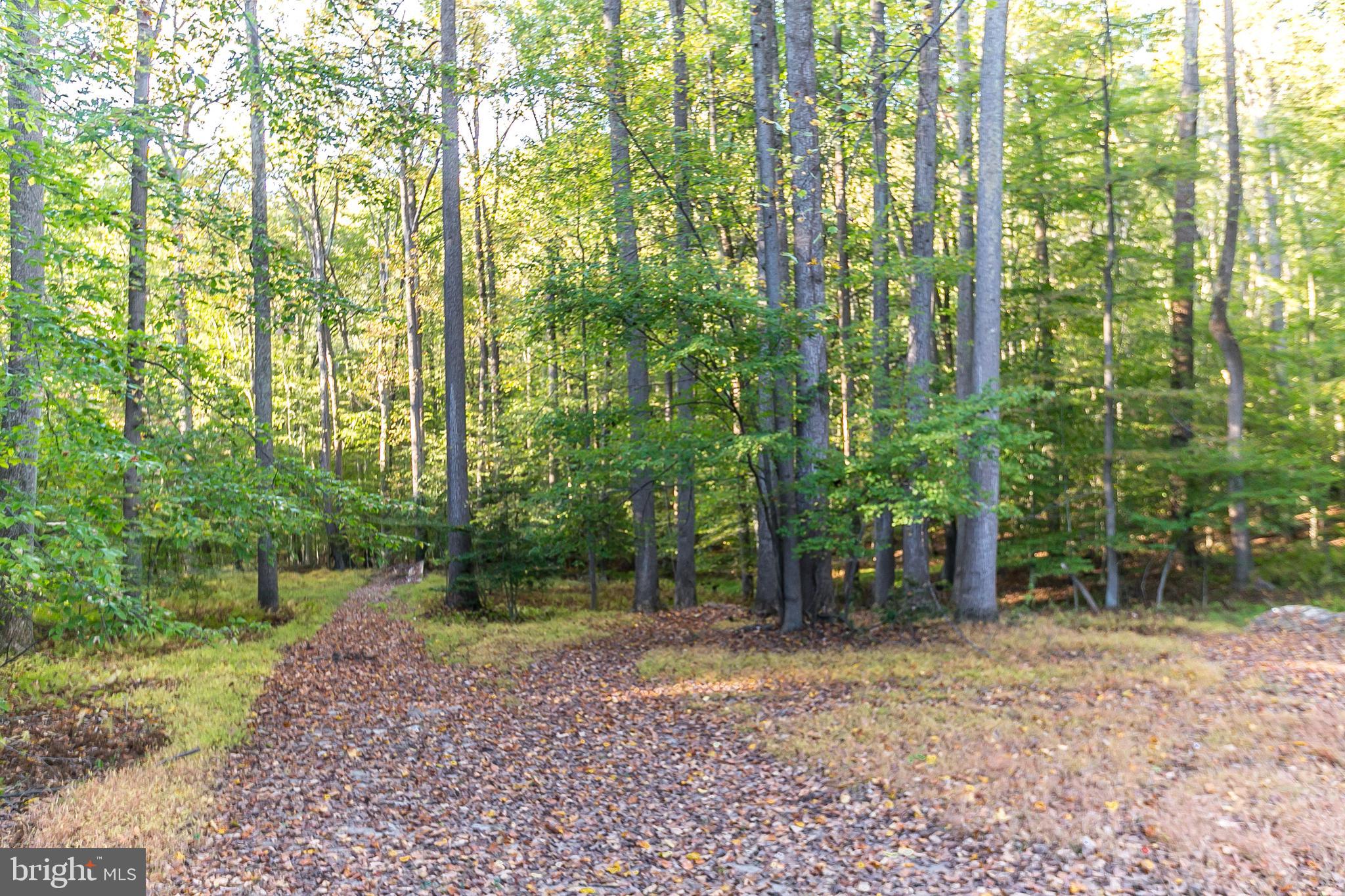 2806 Paper Mill Road Phoenix, MD 21131 - Photo 49 of 50 Exterior rear backs to woods