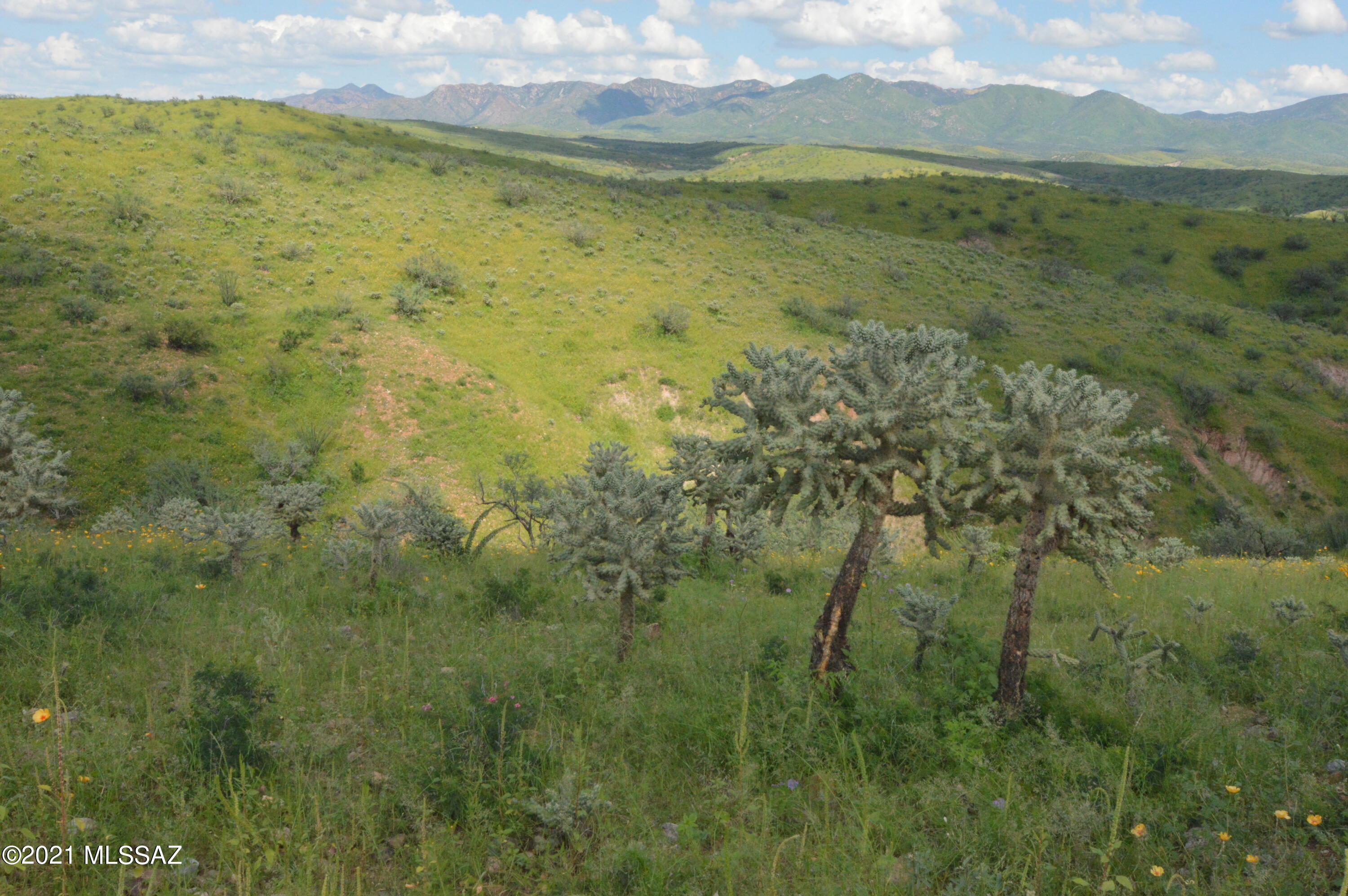 Tbd Sonoita Creek Ranch Road, Unit 86 Nogales, AZ 85621 - Photo 12 of 32