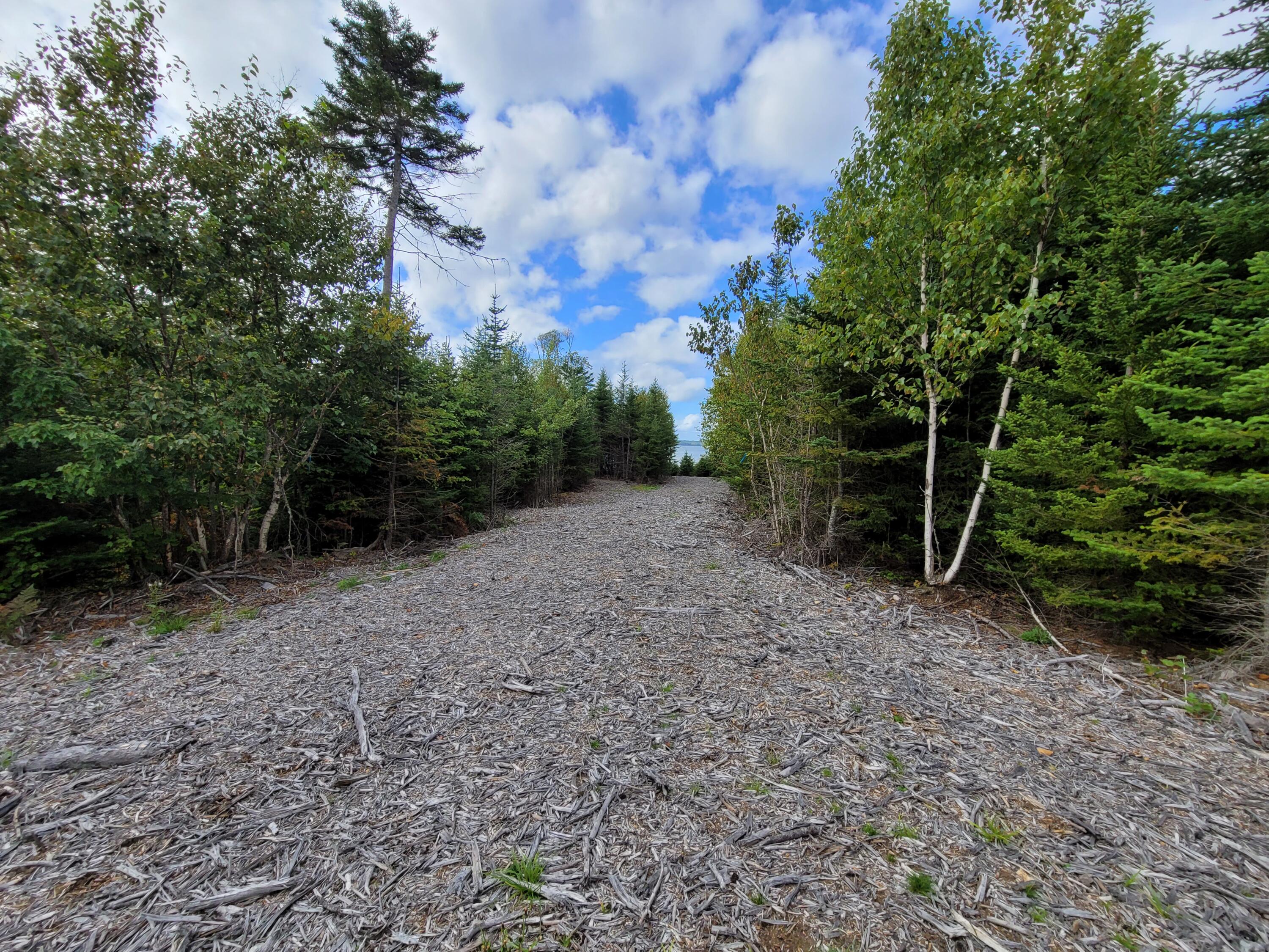 36 Peninsula Shores Road Corea, ME 04624 - Photo 8 of 13 Path through property