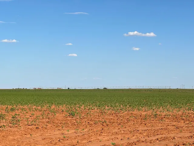 $695,000 | 0 Dove, Ropesville, TX 79358