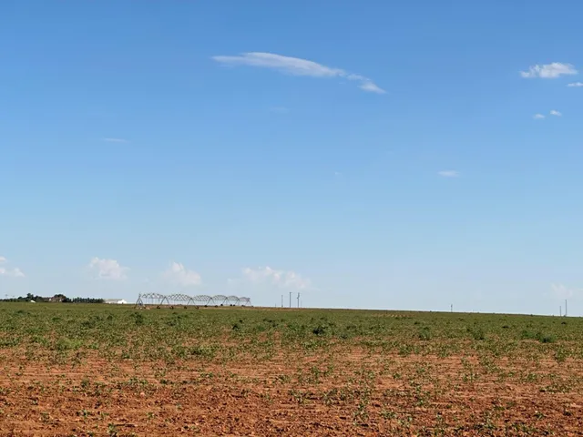 $695,000 | 0 Dove, Ropesville, TX 79358