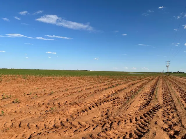 $695,000 | 0 Dove, Ropesville, TX 79358