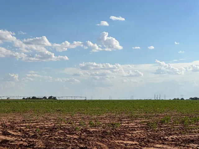 $695,000 | 0 Dove, Ropesville, TX 79358