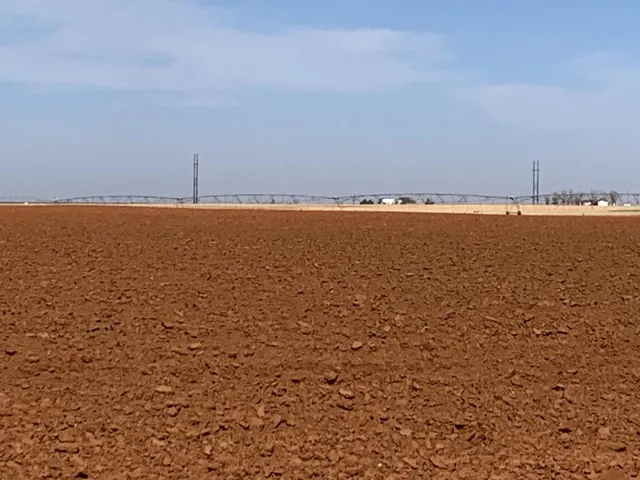 $695,000 | 0 Dove, Ropesville, TX 79358