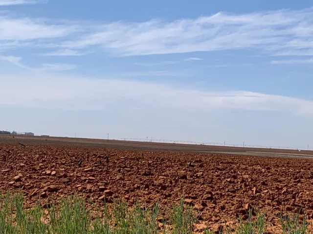 $695,000 | 0 Dove, Ropesville, TX 79358