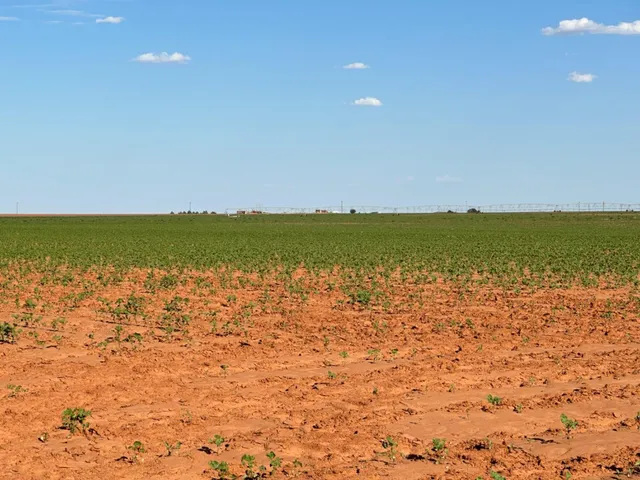 $695,000 | 0 Dove, Ropesville, TX 79358