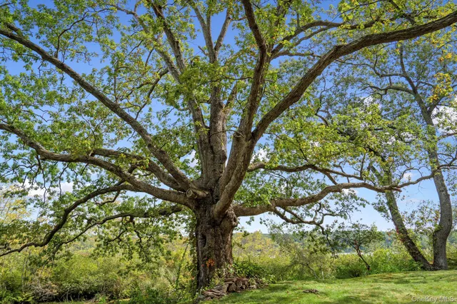a view of a lake from a balcony