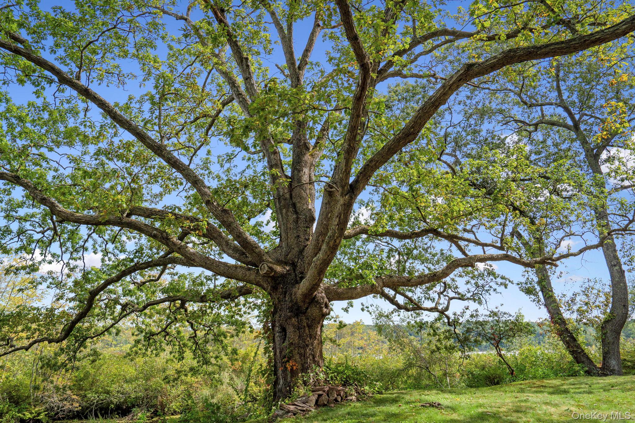 93 Cross Pond Road Pound Ridge, NY 10576 - Photo 34 of 44
