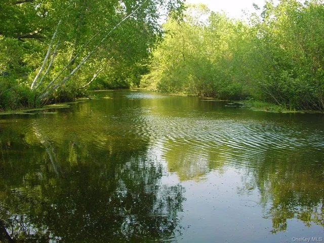 a view of a lake with a large trees