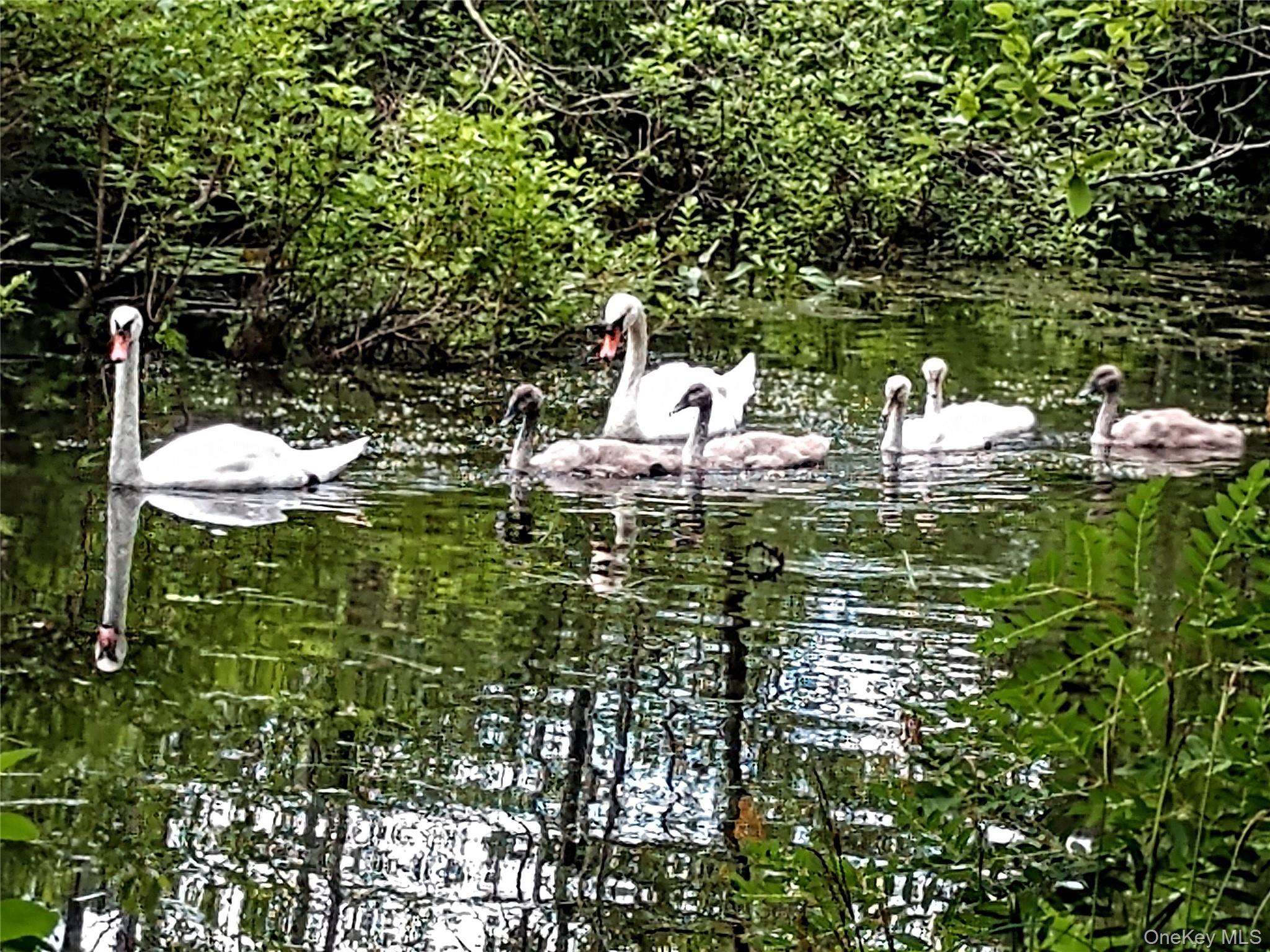 93 Cross Pond Road Pound Ridge, NY 10576 - Photo 36 of 44 a view of a lake from a balcony