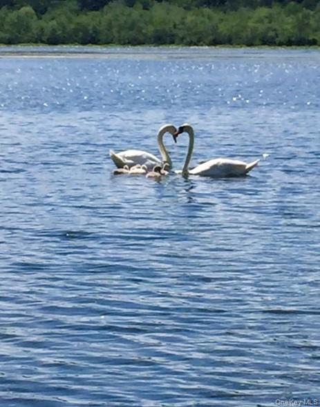 93 Cross Pond Road Pound Ridge, NY 10576 - Photo 43 of 44 a close view of sink