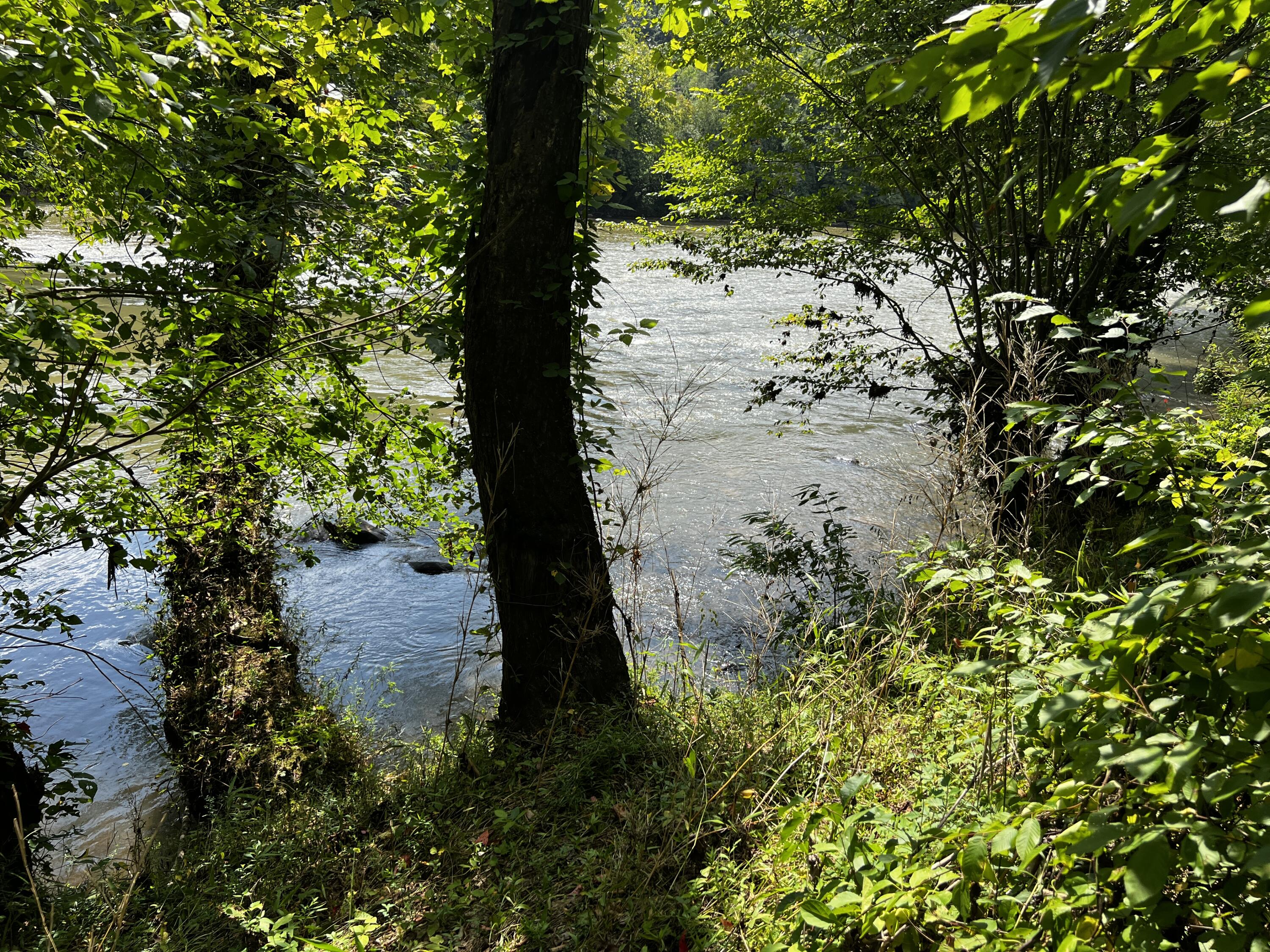 Lot 51 River Rapids Way, Unit 51 Del Rio, TN 37727 - Photo 8 of 21 IMG_4371