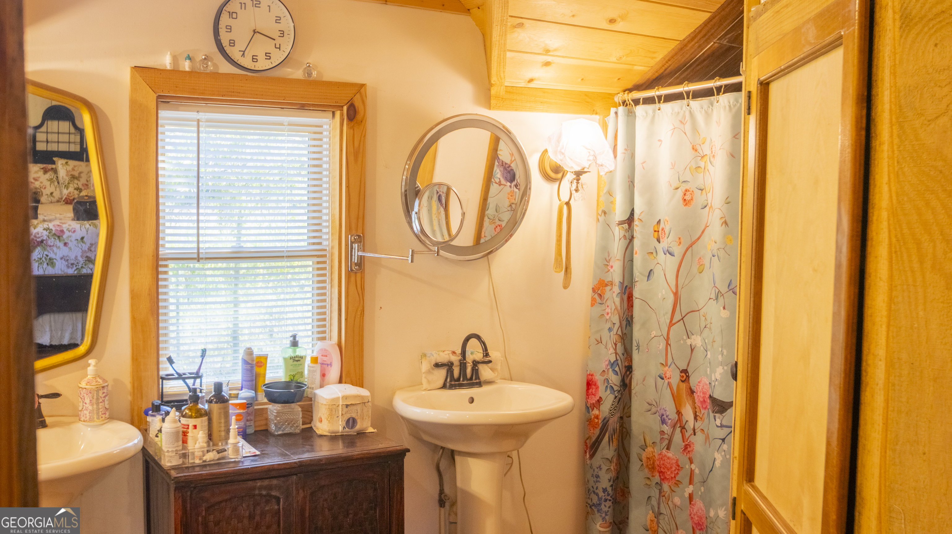 0 Ga Highway Molena, GA 30258 - Photo 10 of 27 a bathroom with a sink a mirror and a shower curtain